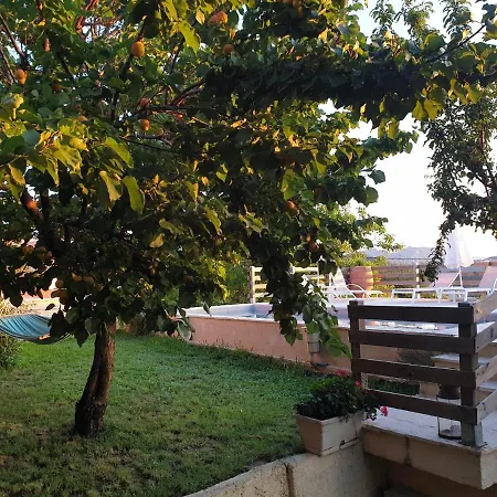 Kosta's House Valanio