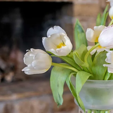 Kosta's House Σπίτι διακοπών Valanio