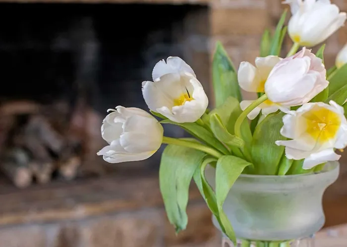 Kosta's House Casa de Férias Valanio